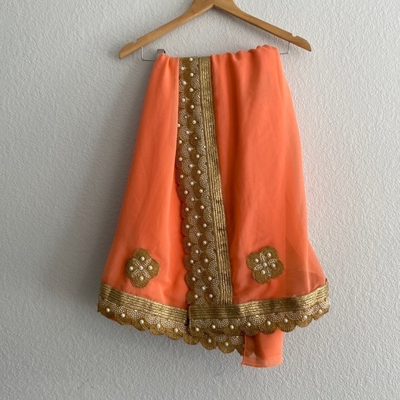 Pakistani Indian Saree - Picture 3 of 5